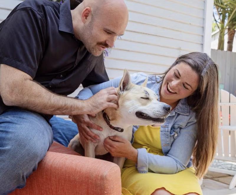 Smiling people relaxing on a patio chair with a dog between them