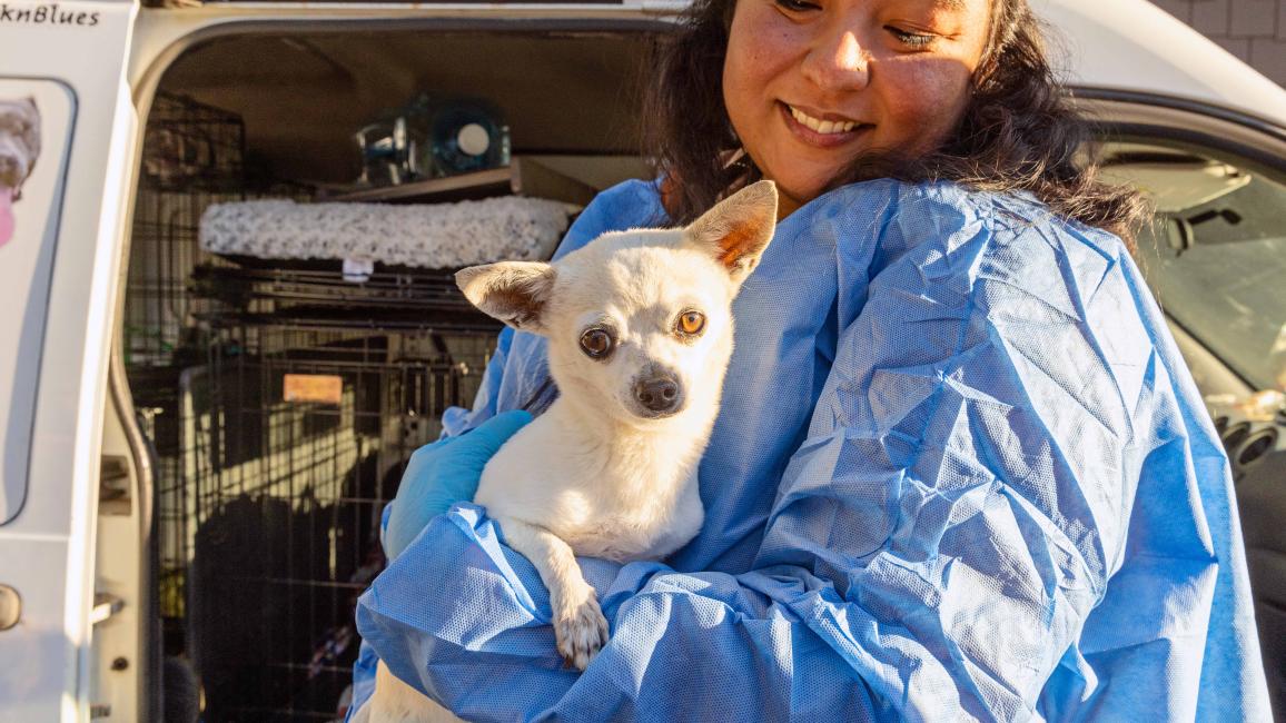 Smiling person wearing a protective gown holding Wally the Girl the dog