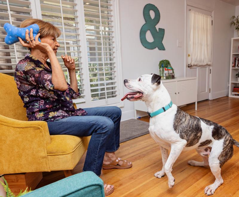 Person playing fetch with a dog in a home