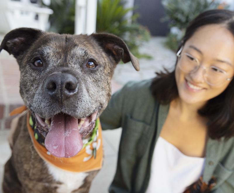 Smiling person sitting next to a dog sitting on a step outside